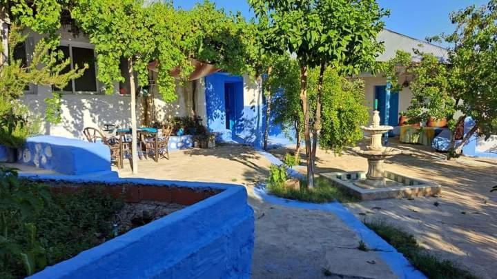 Gite El Houmar Tanakoub المظهر الخارجي الصورة